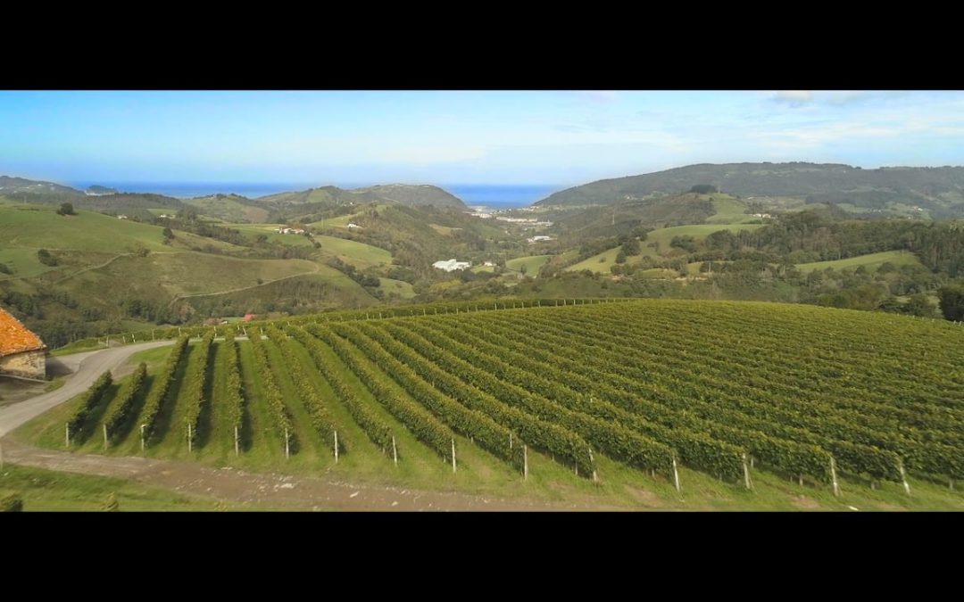 Bodega K5 Txakolina Arguiñano